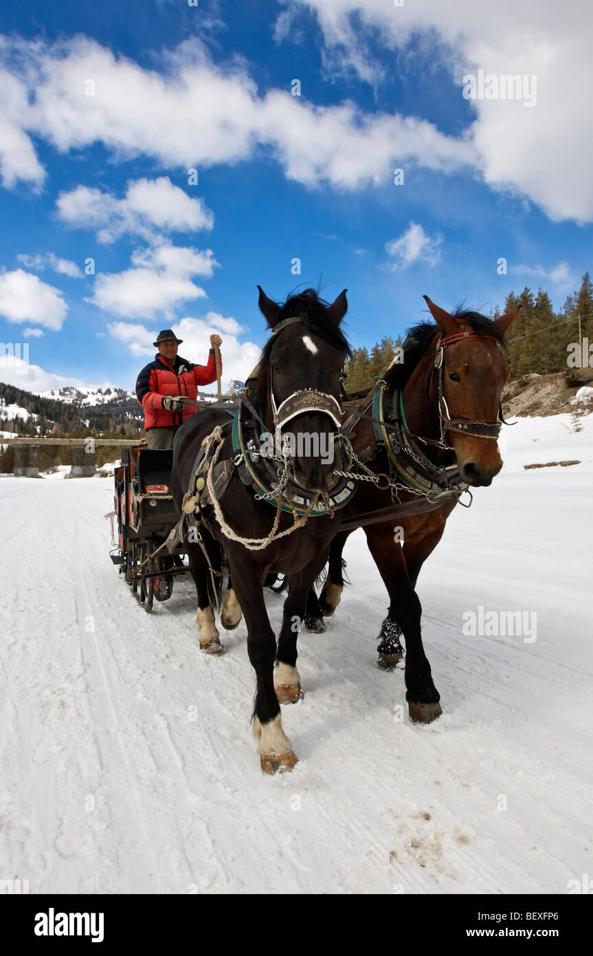 Sollevamento del cavallo in Alta Badia, Dolomiti, Italia Foto Stock