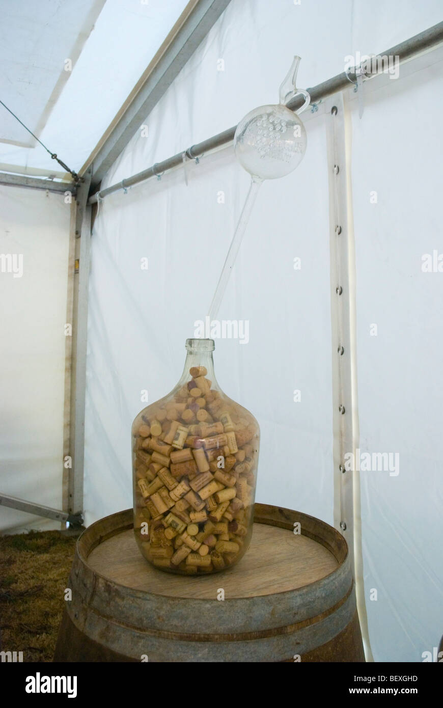 Tanica aka Demijohn attaccato ad una vinificazione recipiente ad una festa del vino a Praga Repubblica Ceca Europa Foto Stock