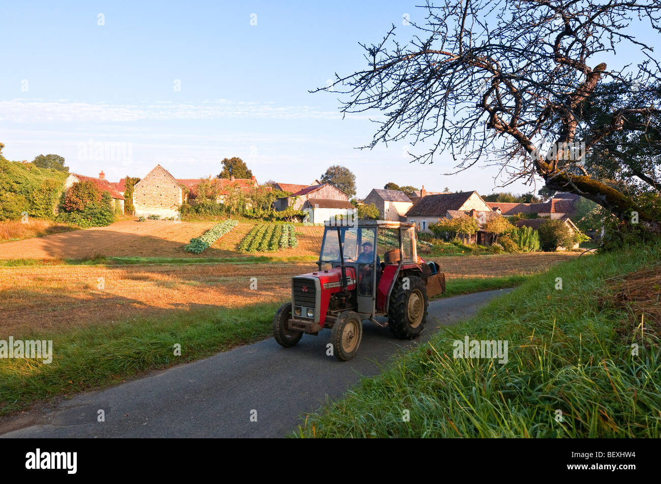 Il francese contadino povero vecchio guida il trattore lungo una stretta viuzza - sud-Touraine, Francia. Foto Stock