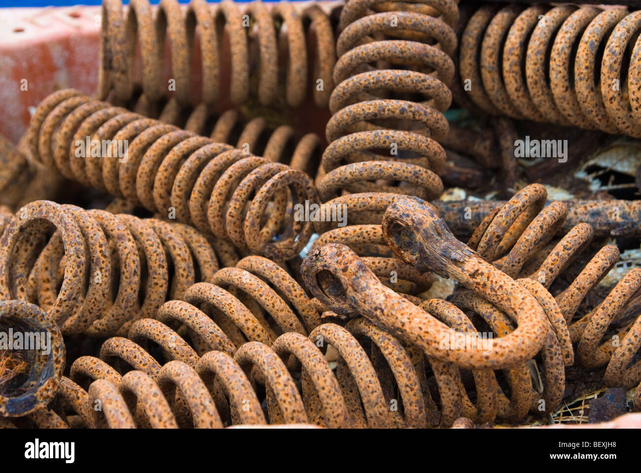 Dettaglio della memorizzata di attrezzature da pesca a terra in Scozia Foto Stock