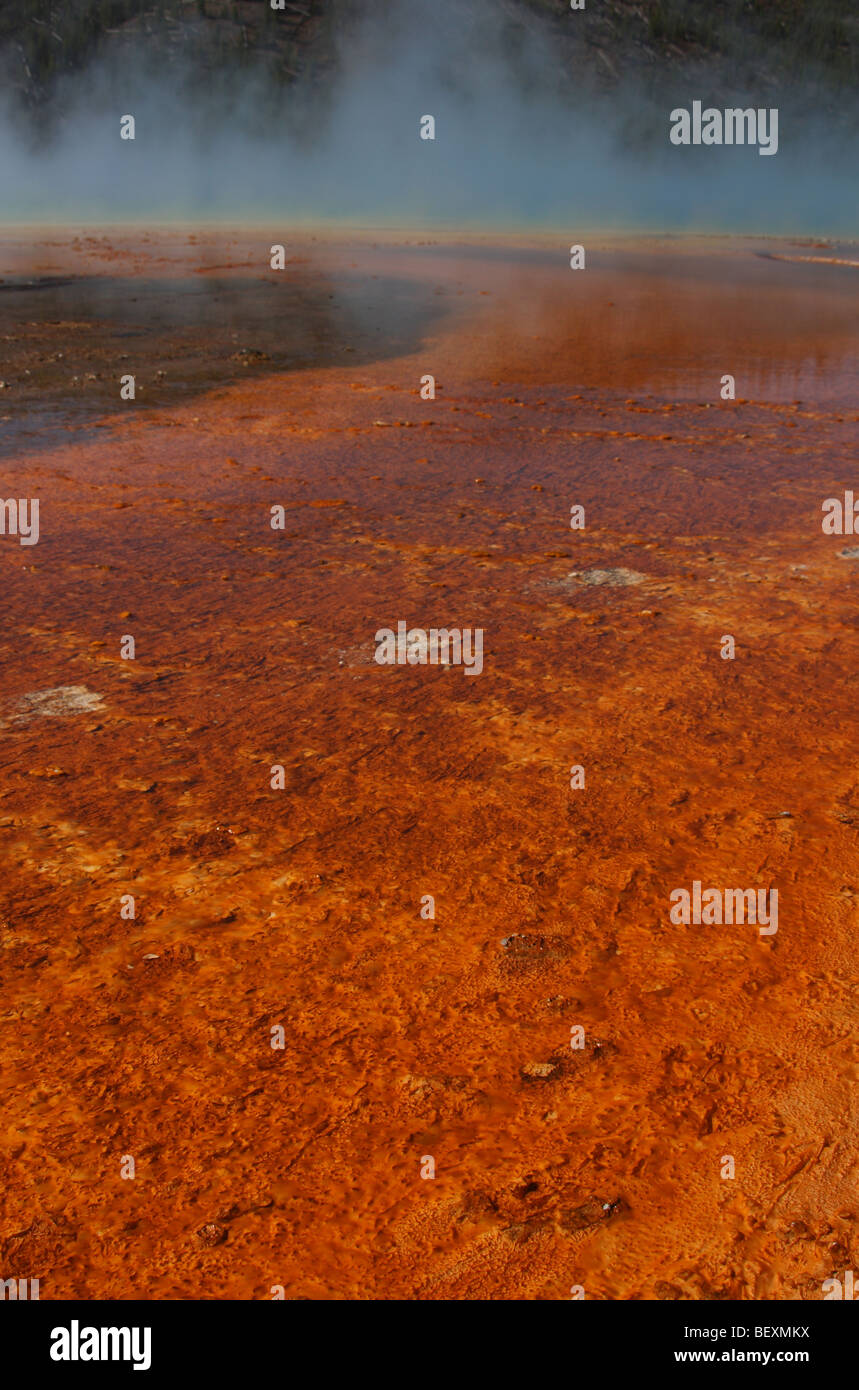 Grand Prismatic Spring, Midway Geyser Basin, il Parco Nazionale di Yellowstone Foto Stock