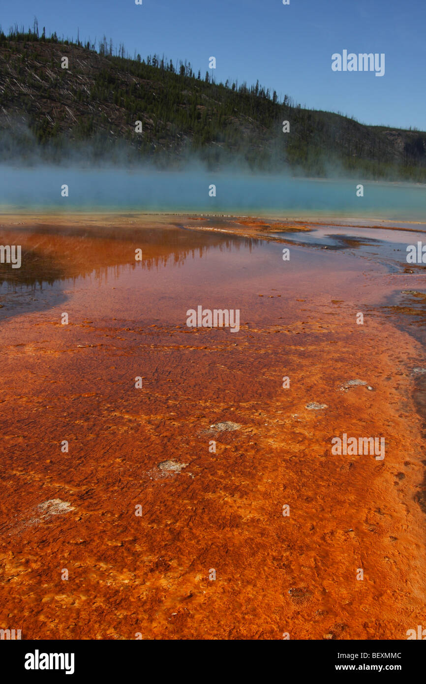 Grand Prismatic Spring, Midway Geyser Basin, il Parco Nazionale di Yellowstone Foto Stock