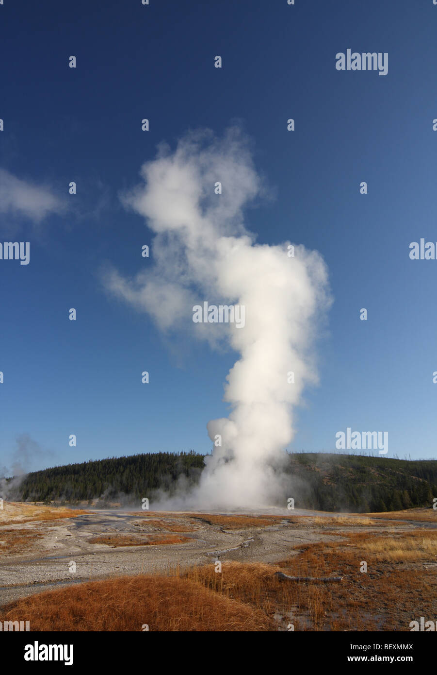 Geyser Foto Stock