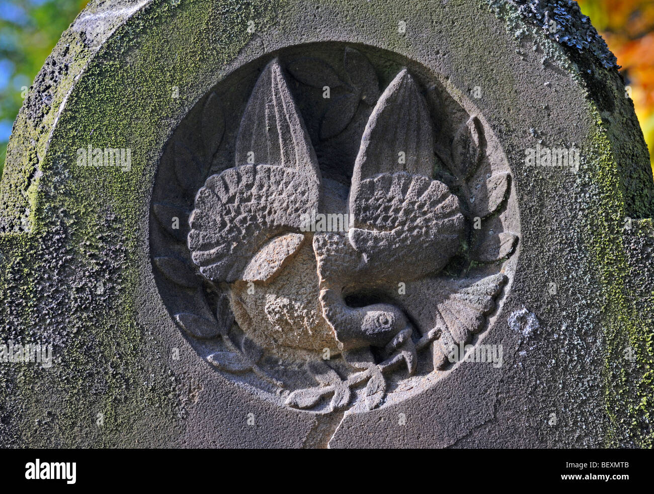 Dettaglio della pietra tombale con colomba e le Olive Branch design . Chiesa di San Lorenzo , Appleby in Westmorland , Cumbria , in Inghilterra , Foto Stock