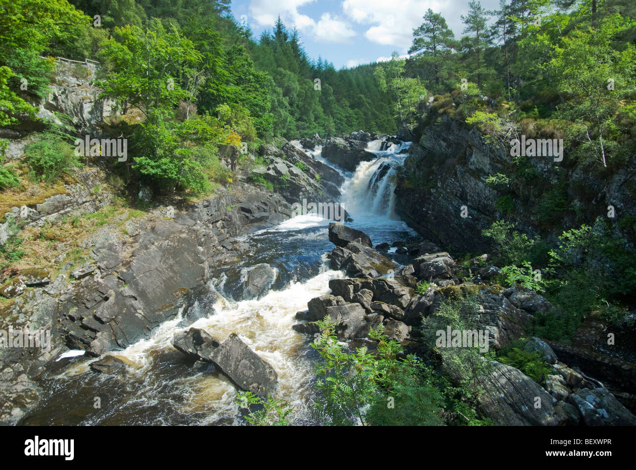 Il Rogie Falls cascate vicino a Inverness in Ross & Cromarty, Scozia Foto Stock