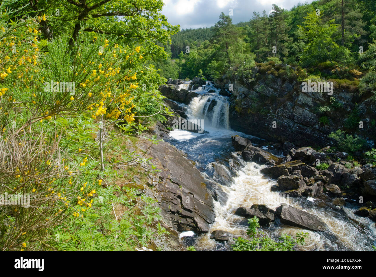 Il Rogie Falls cascate vicino a Inverness in Ross & Cromarty, Scozia Foto Stock