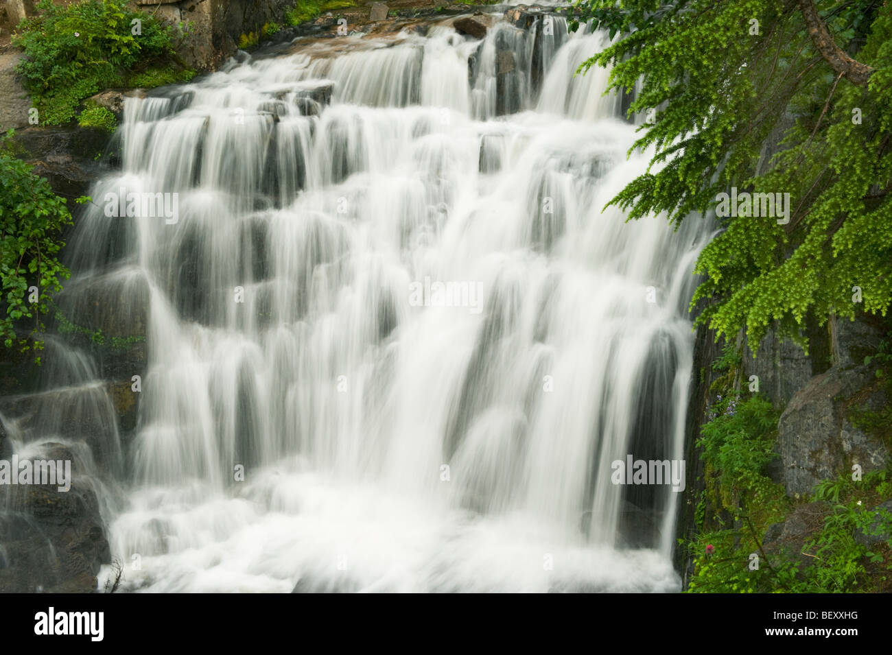 Sunbeam cascata, Area Paradiso, Stevens Canyon, il Parco Nazionale del Monte Rainier, Washington Foto Stock