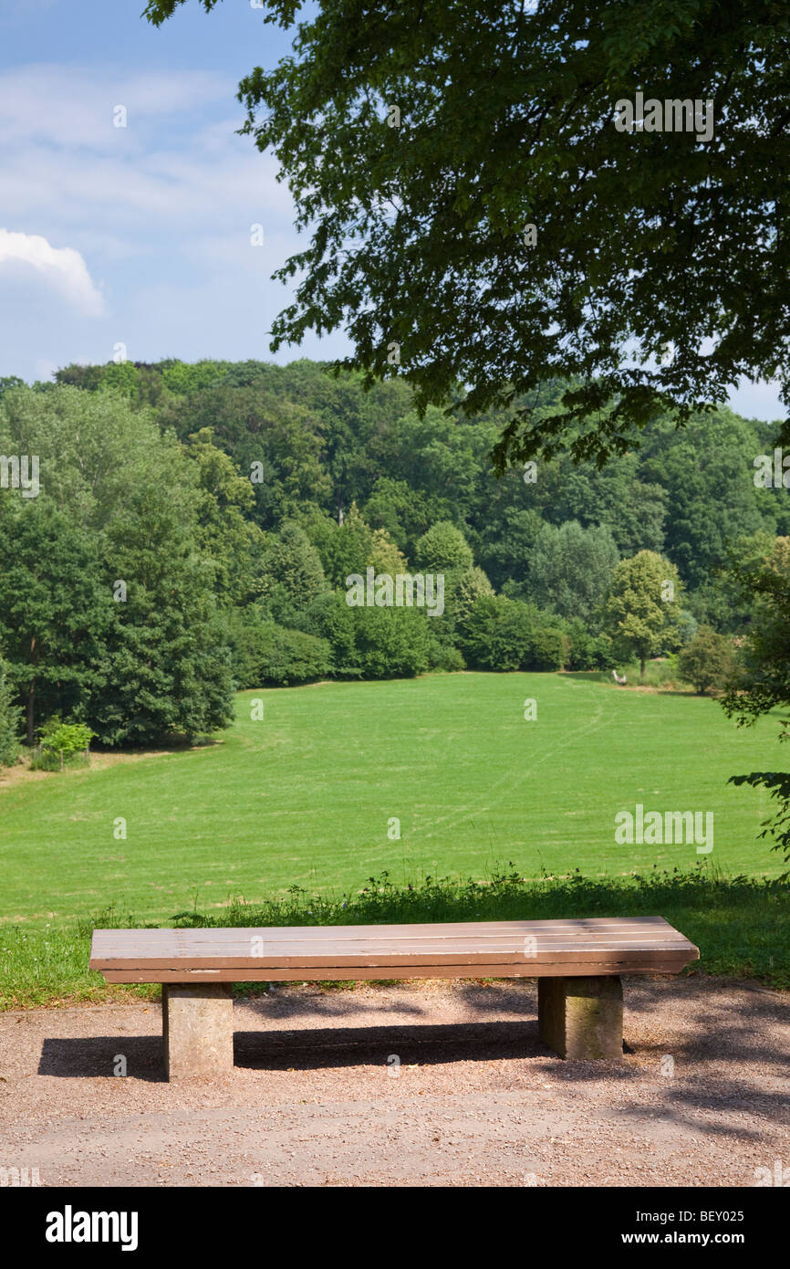 In legno panchina del parco che si affaccia su un campo e la foresta in una città urbana park Foto Stock