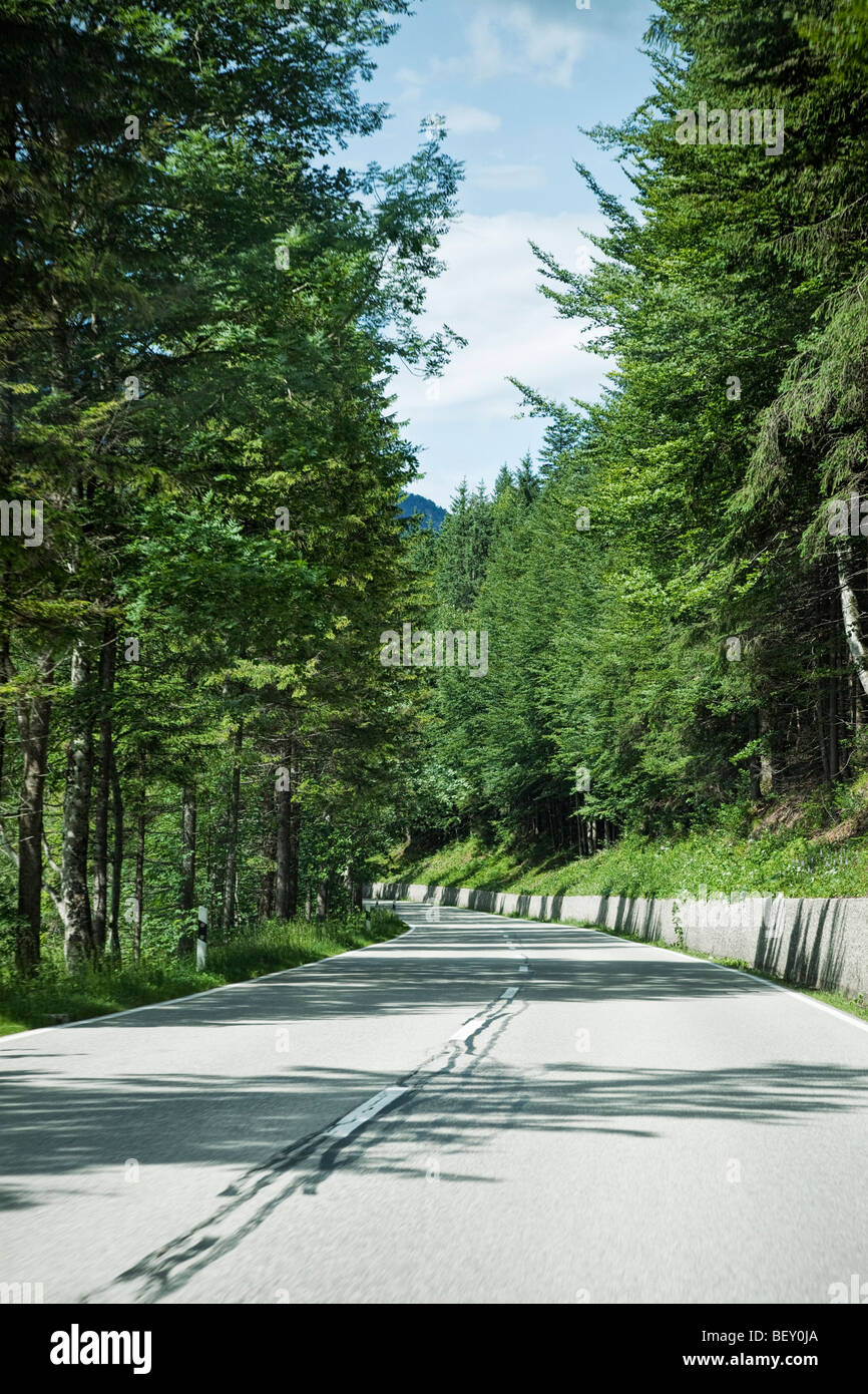 Strada di campagna attraverso una foresta di pini nella Germania meridionale, Europa Foto Stock