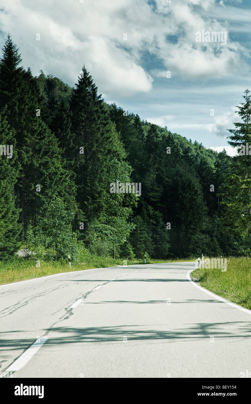 Viaggiando lungo una strada aperta attraverso una foresta in Europa Foto Stock