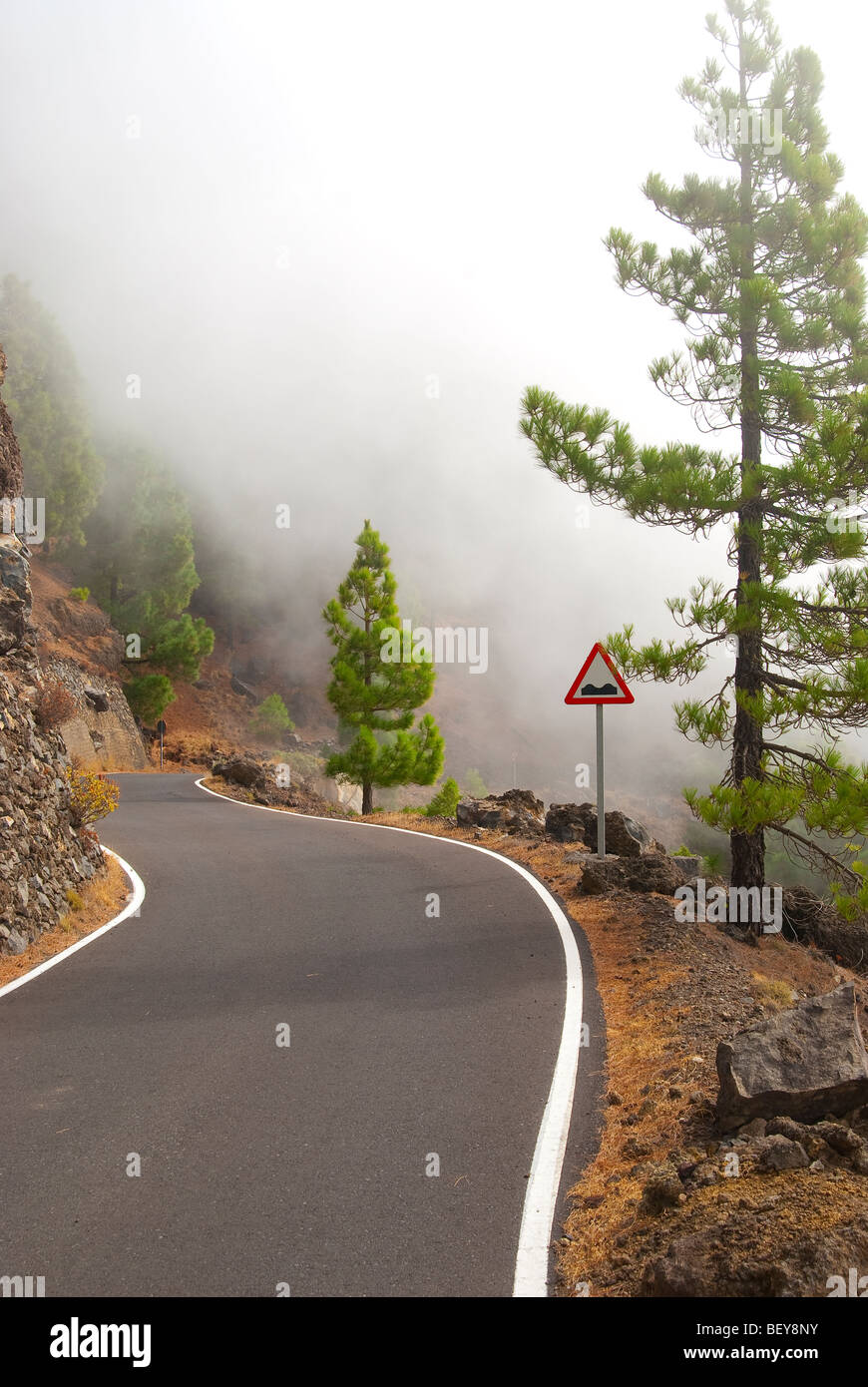 Curva strada parzialmente coperto in un mazzo di nuvole che conducono su per le Montagne di El Hierro Foto Stock