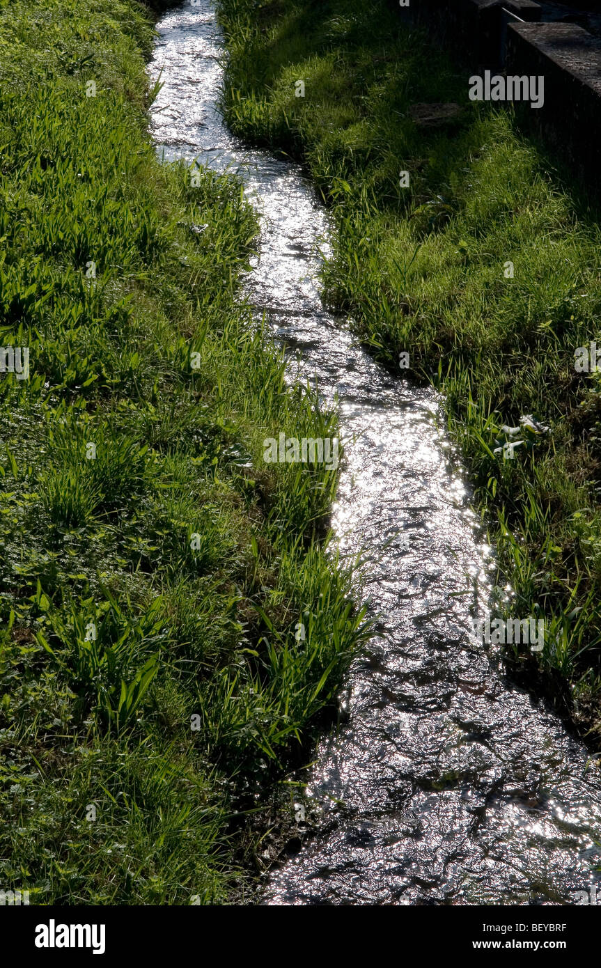 Esecuzione del flusso in erba Foto Stock