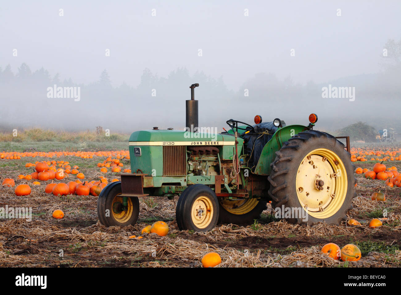 Il trattore nel campo di zucca in inizio autunno-Victoria, British Columbia, Canada. Foto Stock