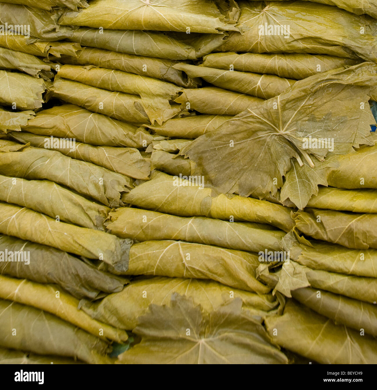 Mercato Beykoz uva da vino lascia Istanbul Turchia asiatica islam musulmani parte del Bosforo Foto Stock