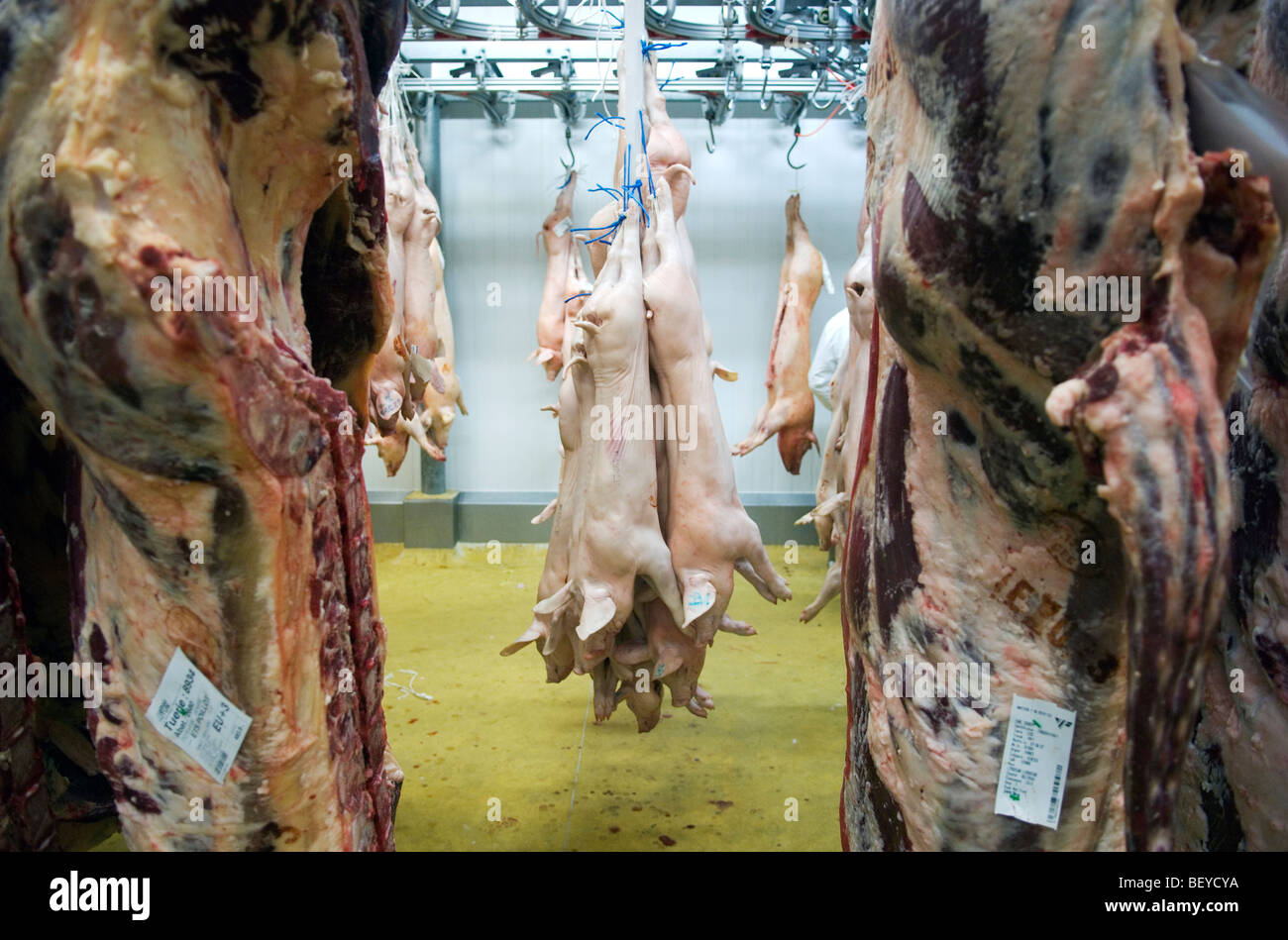 Mercato di Rungis nella periferia di Parigi è il più grande commercio all'ingrosso di carne, pesce e verdura nel mondo. Foto Stock