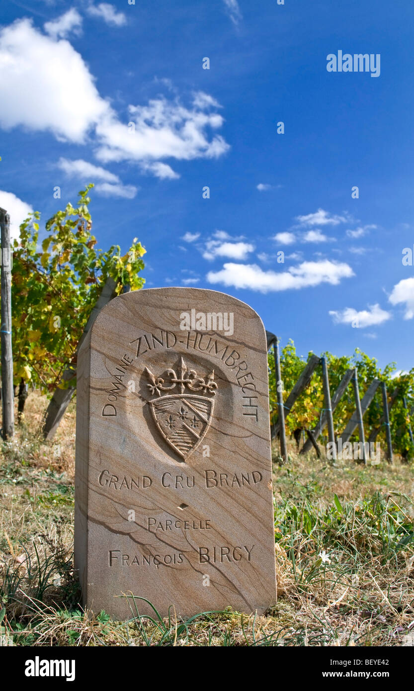 Marcatore di pietra nel Grand Cru vigna di marca parcelle di Domaine Zind-Humbrecht Turckheim Alsace Foto Stock