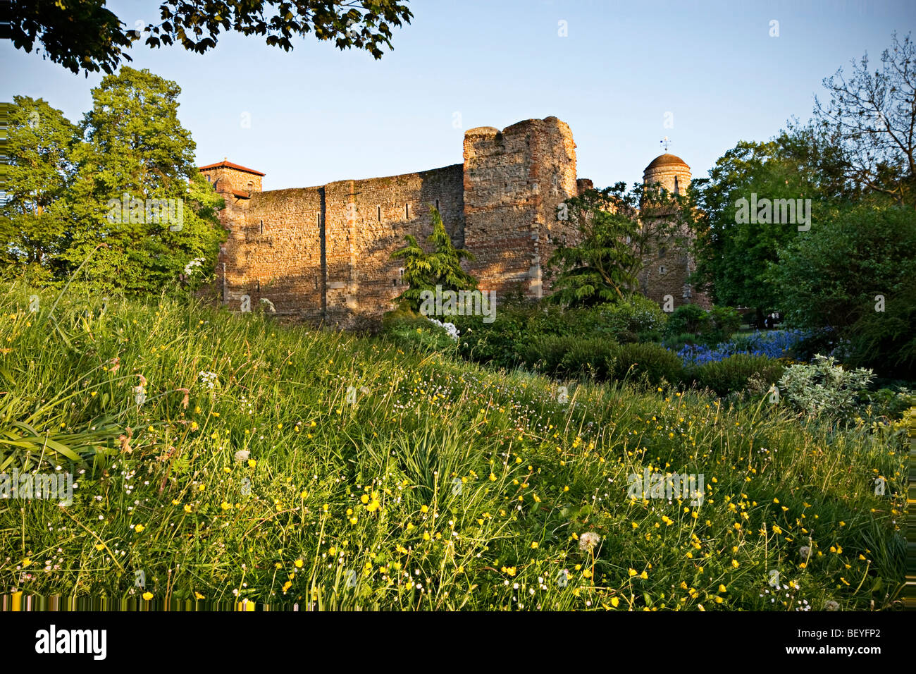 Il castello di Colchester Foto Stock