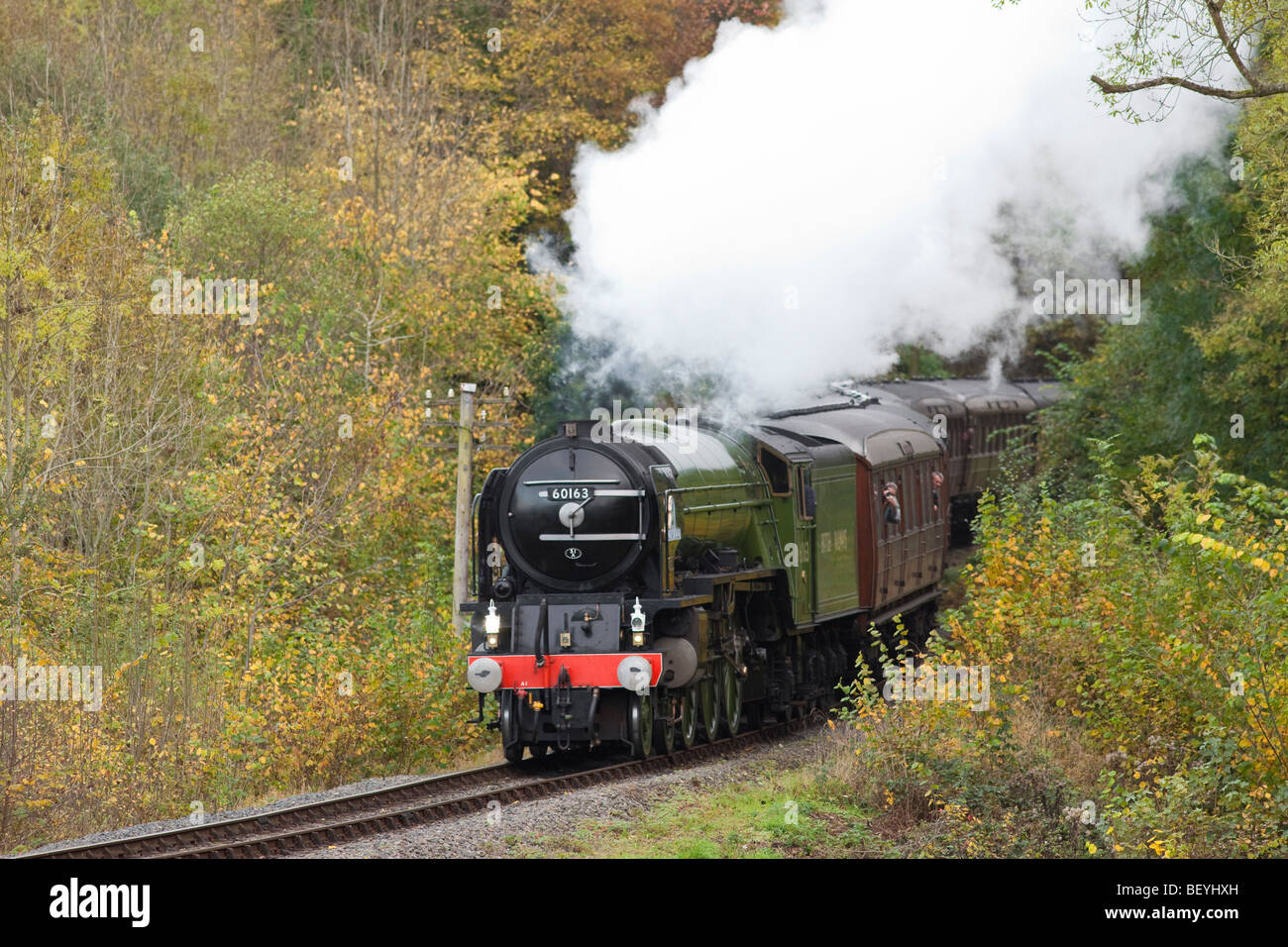 La locomotiva a vapore "Tornado' avvolge il modo lungo la Severn Valley Railway verso la stazione di Highley, Inghilterra Foto Stock