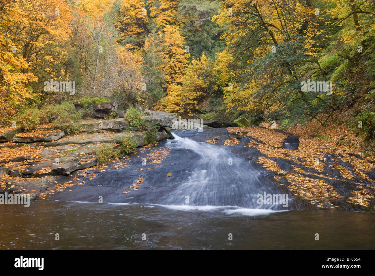 L'acqua che scorre attraverso le rocce, Lago Creek, Contea di Jackson, Oregon, Stati Uniti d'America Foto Stock