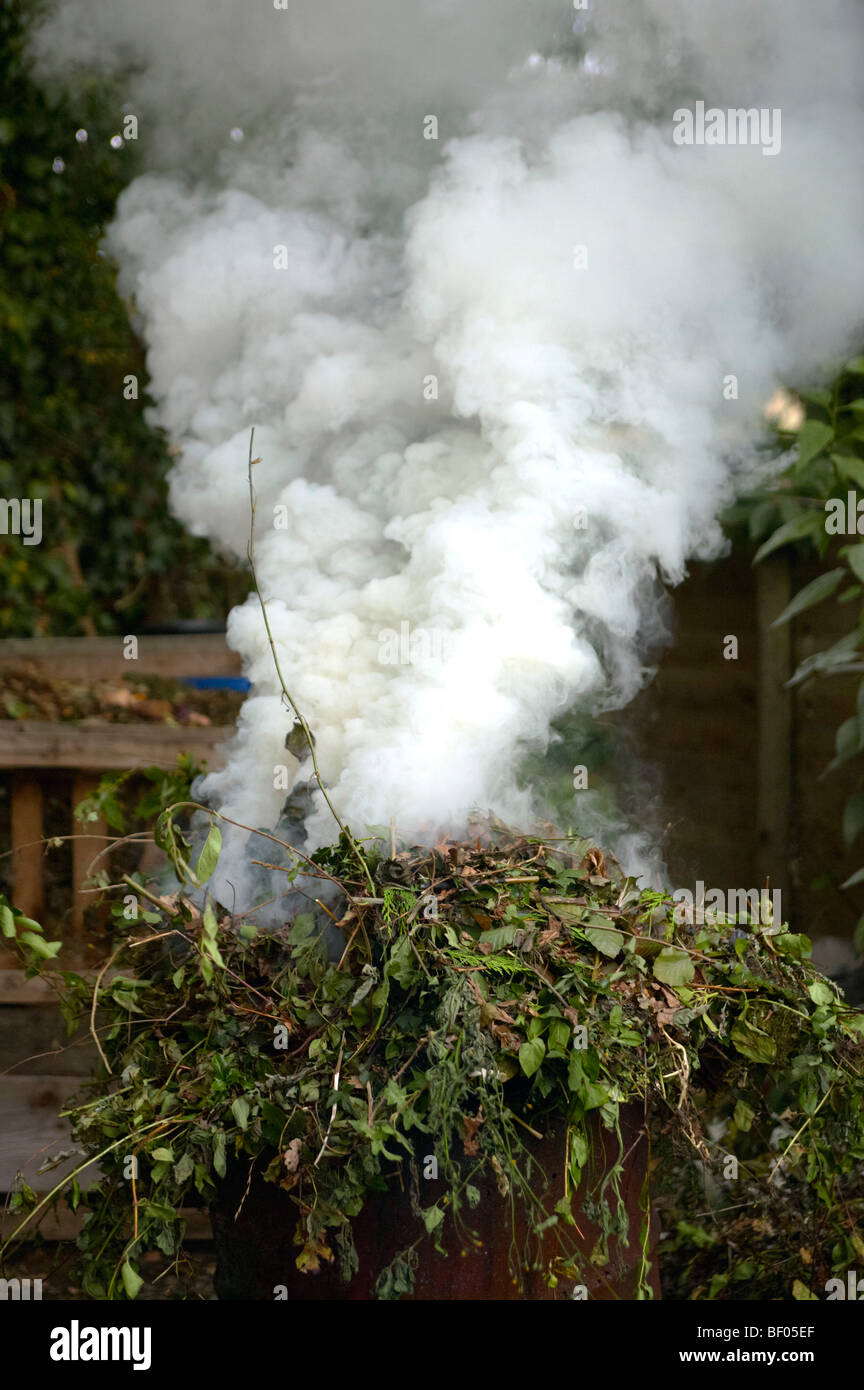 Giardino falò in un 45 gallone tamburo fumo erbacce di masterizzazione Foto Stock