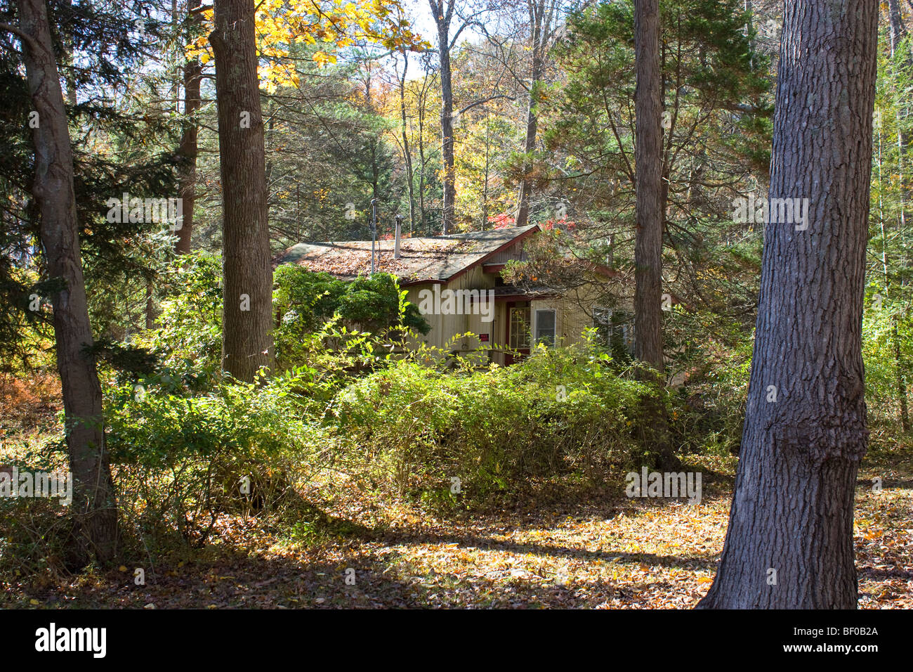Akn 1130R1 casa abbandonata nel bosco in autunno Foto Stock
