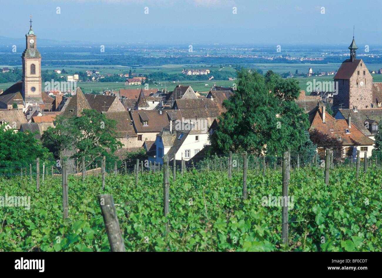 Cityscape, villaggio del vino Riquewihr, Alsazia, Francia Foto Stock