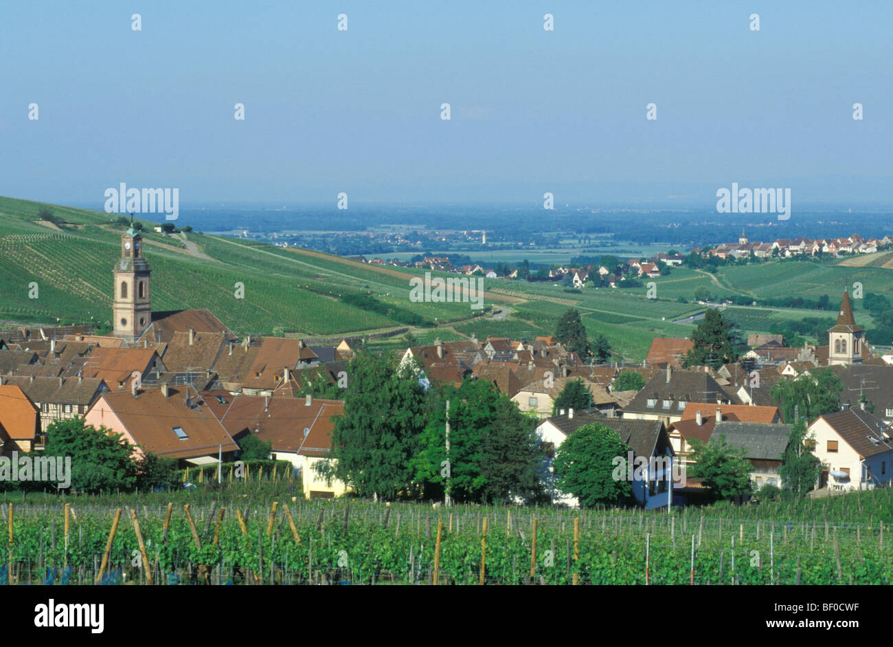 Cityscape, villaggio del vino Riquewihr, Alsazia, Francia Foto Stock