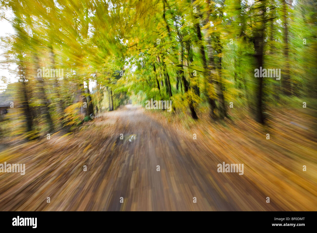 Equitazione sulla strada di campagna in autunno scena, motion blur driver dal punto di vista Foto Stock