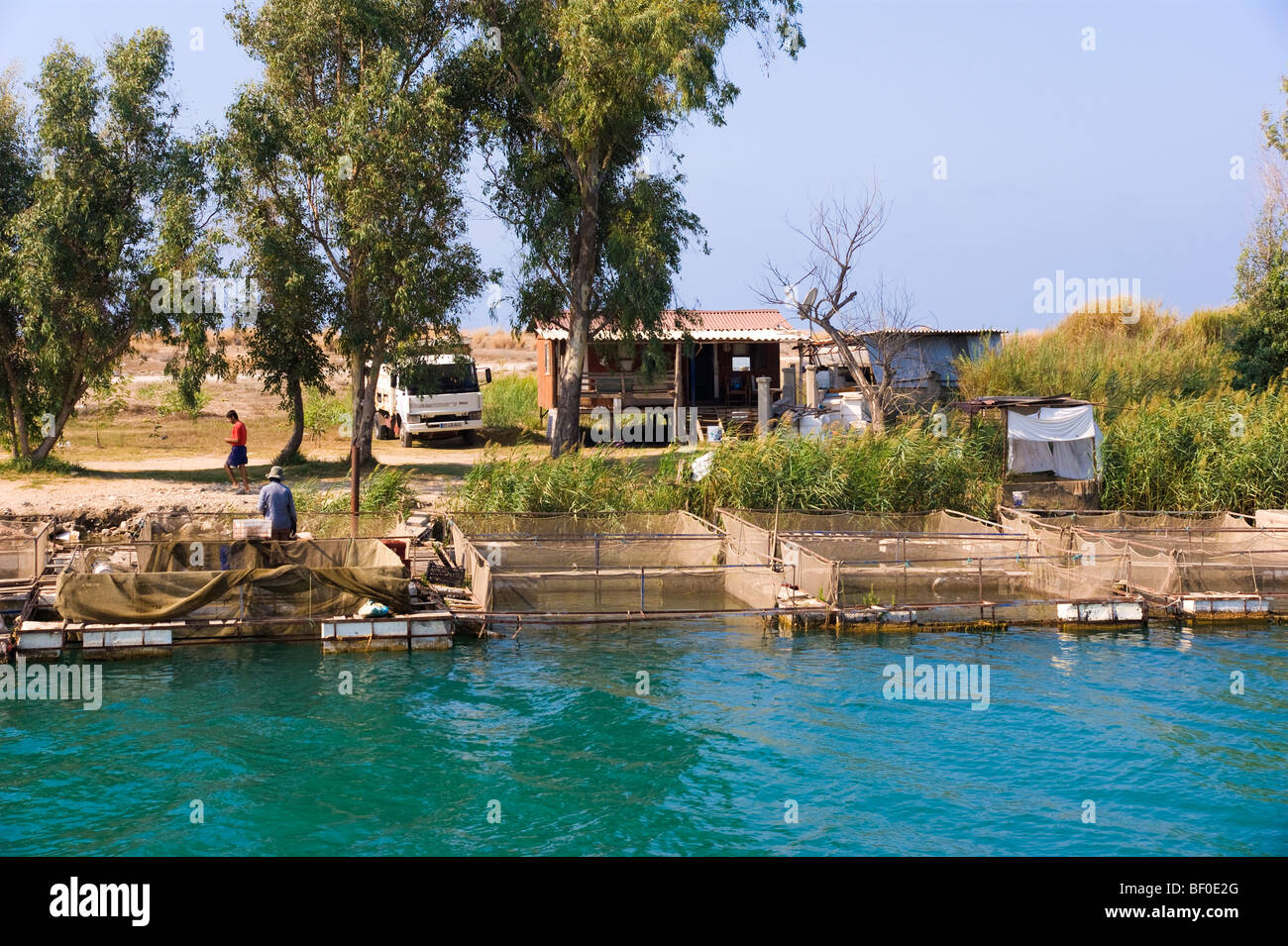 Fishfarm sul Manavgat fiume vicino a Antalya in paesi del Mediterraneo meridionale della Turchia Foto Stock