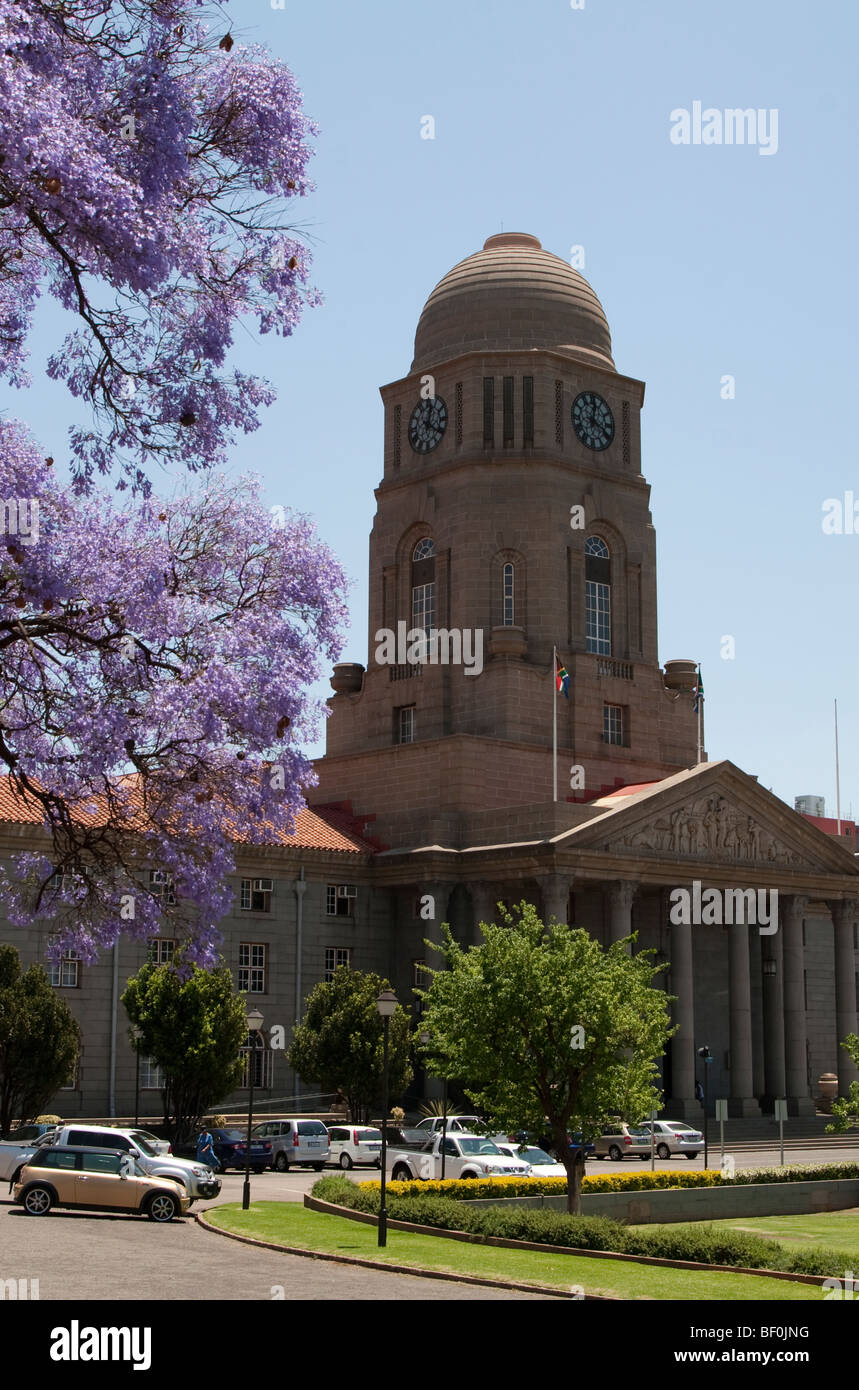 Pretoria City Hall con una Jacaranda in primo piano, Sud Africa Foto Stock