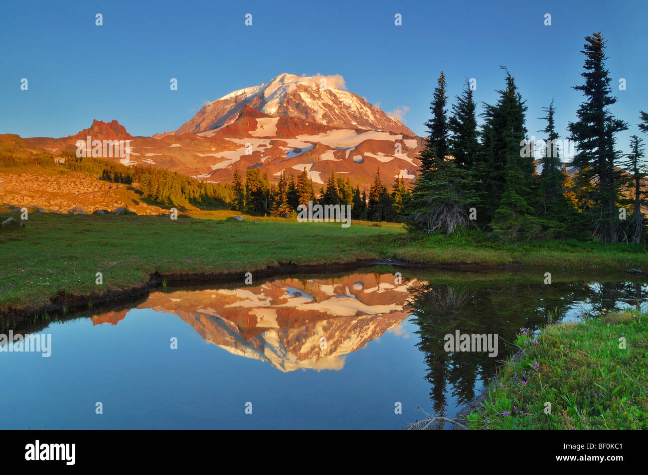 Tramonto foto di Mt. Rainier riflessa in un tarn Foto Stock