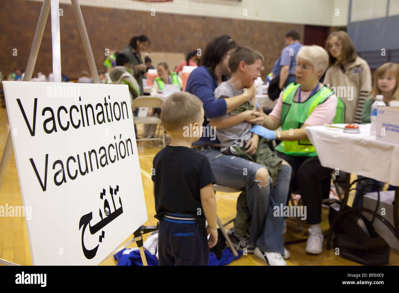 Influenza suina vaccinazioni Foto Stock