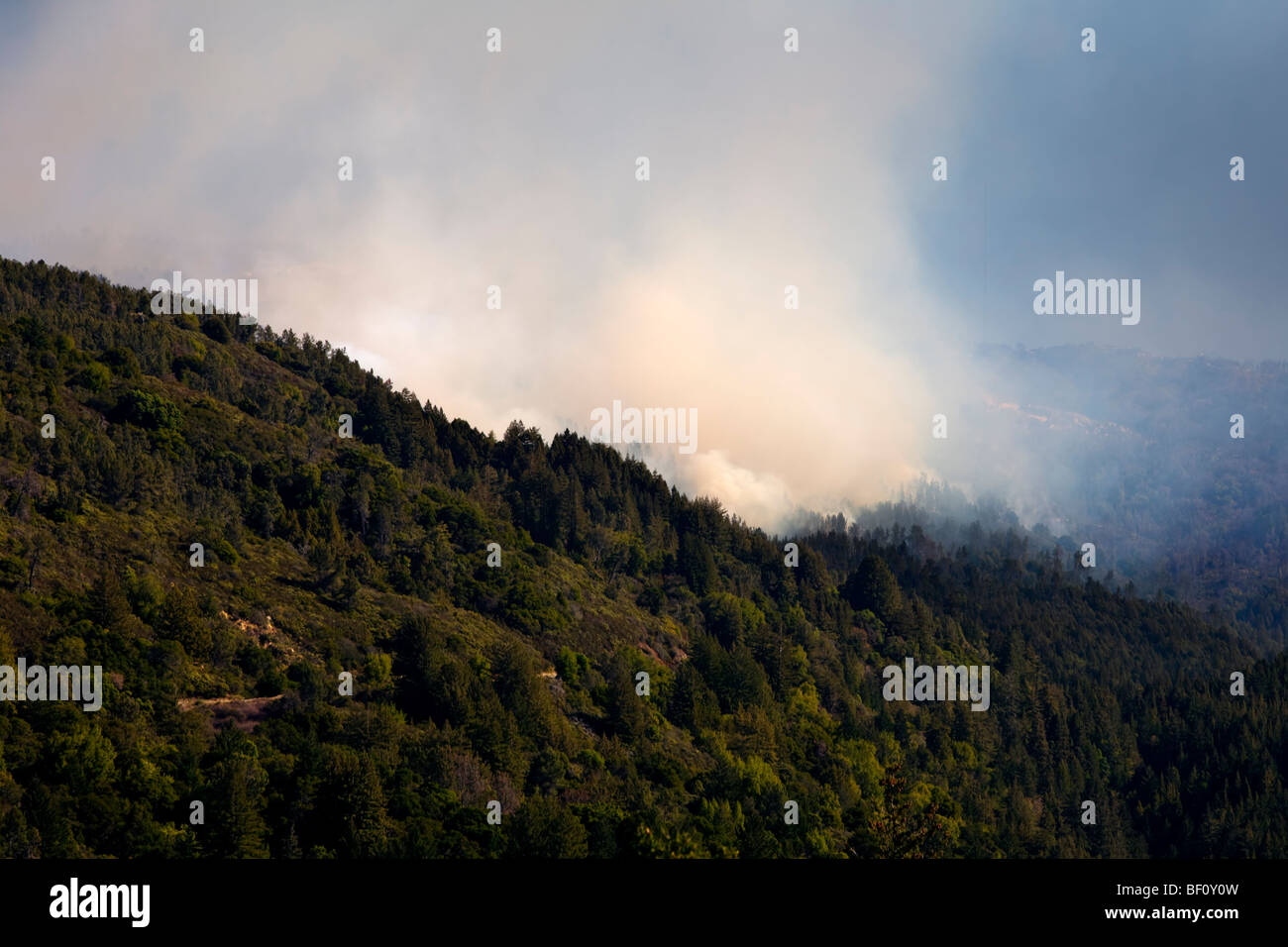 California Loma wildfire devastazioni nelle montagne di Santa Cruz. CALFIRE / CDF Foto Stock
