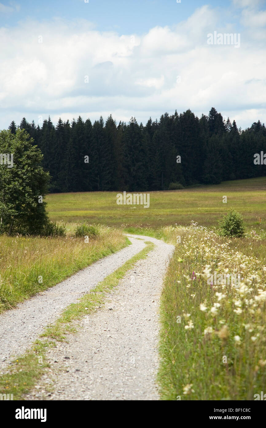 Una strada con fondo in ghiaia tra il verde dei campi, Svezia. Foto Stock