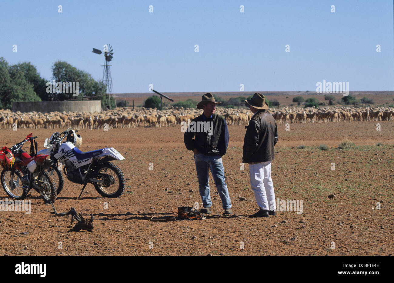 Outback australiano, pecore ranch con cowboy e motociclette, energia solare ed eolica e trogolo di acqua, Foto Stock