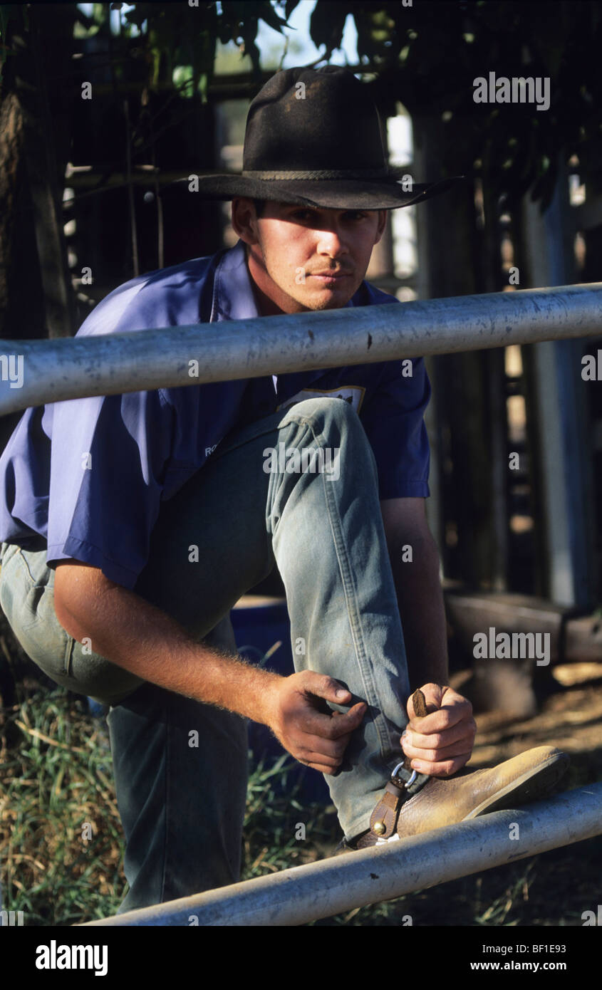 Cowboy jackaroo vincola gli stivali prima di andare a cavallo, Queensland, Australia Foto Stock