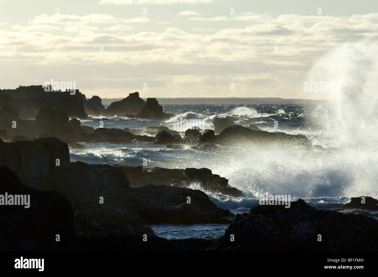 Tempesta di costa, Faro, Gotland (Svezia). Foto Stock