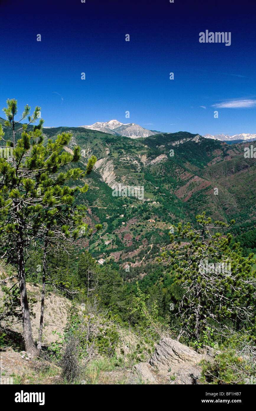 Panoramica delle Alpi Marittime entroterra Foto Stock