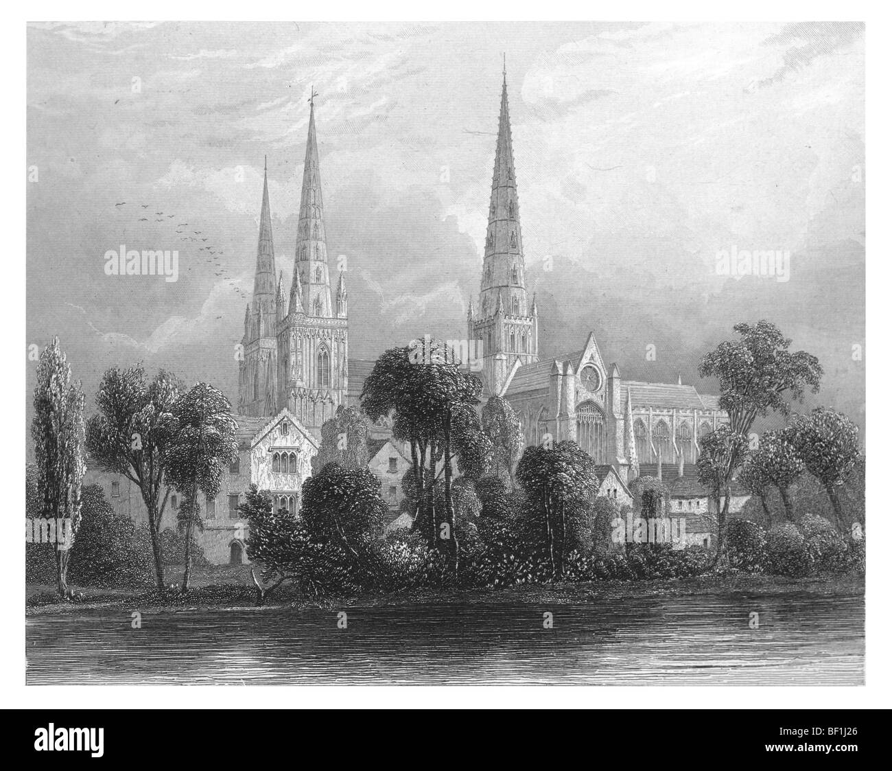 Lichfield Cathedral, vista dal fiume Foto Stock