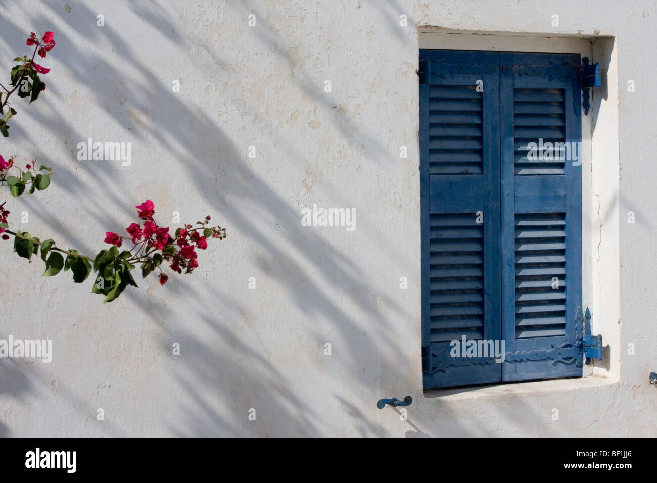 Otturatori blu Foto Stock