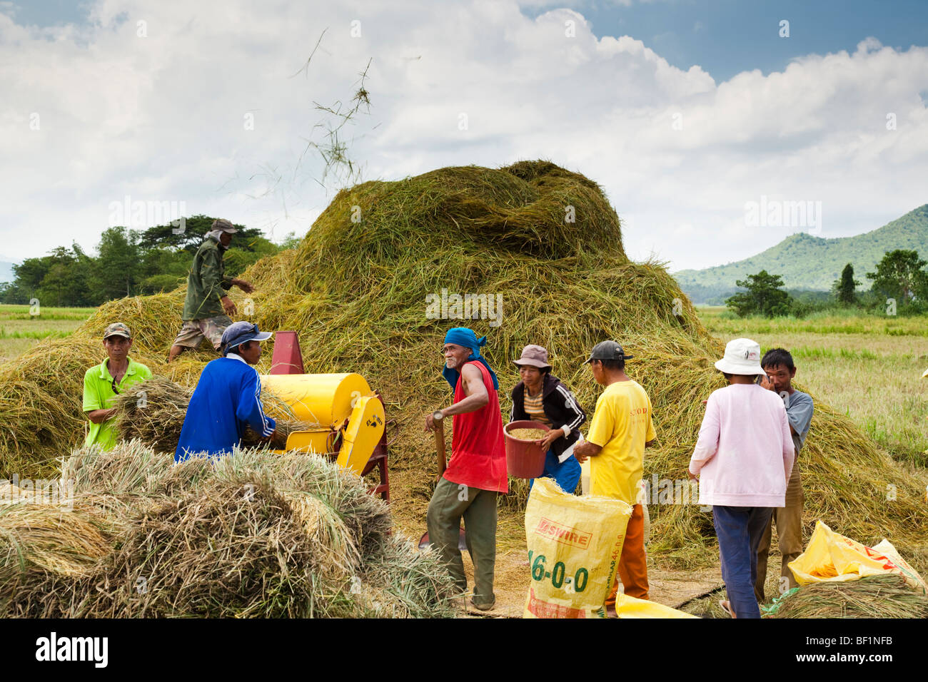 Lavoratori filippini la trebbiatura del riso usando un riso meccanico apparato trebbiante. Iloilo philippines Foto Stock