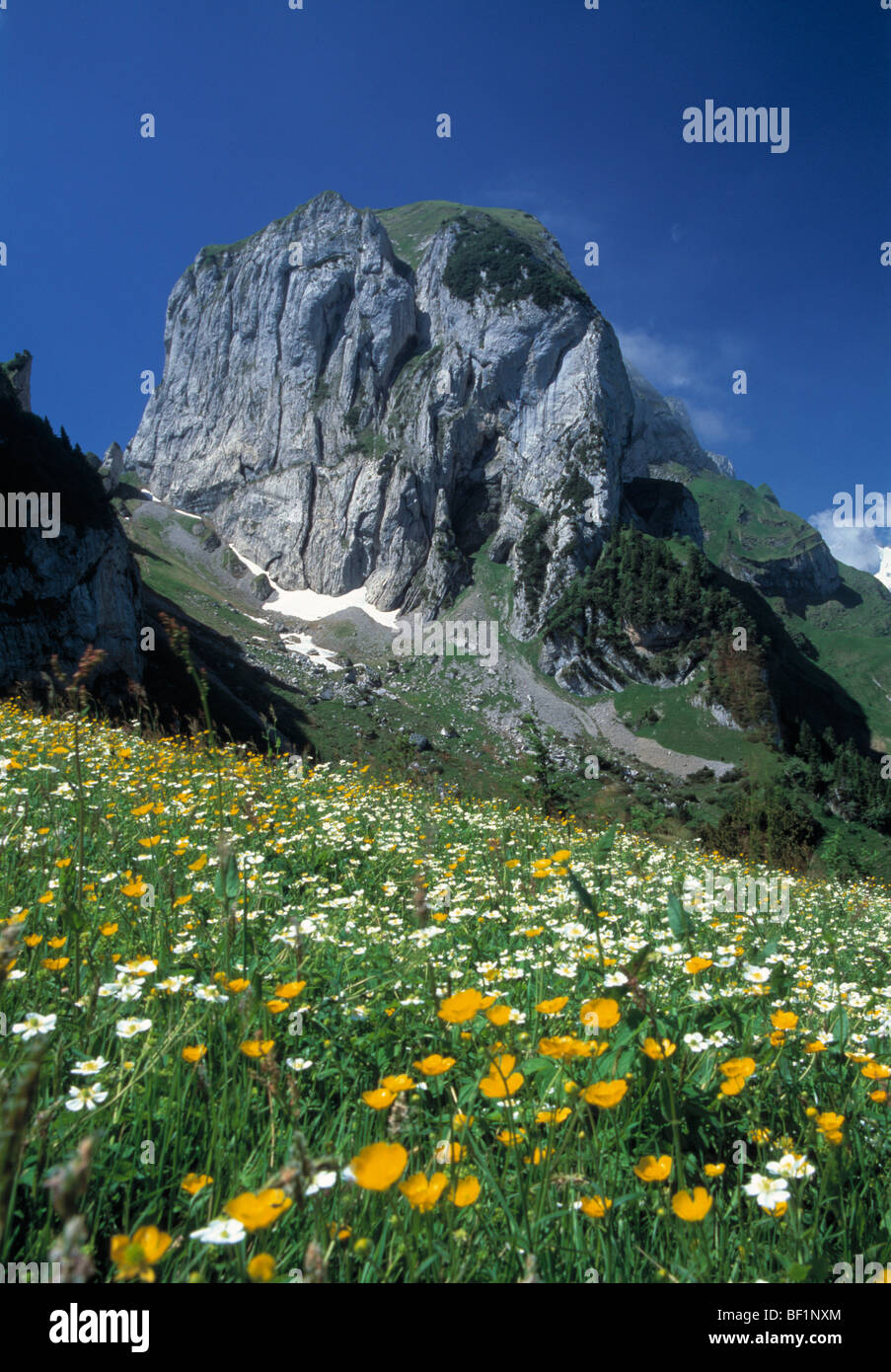 La Svizzera, alpi, appenzeller alpen, Hoher Kasten kette, montagne, Foto Stock