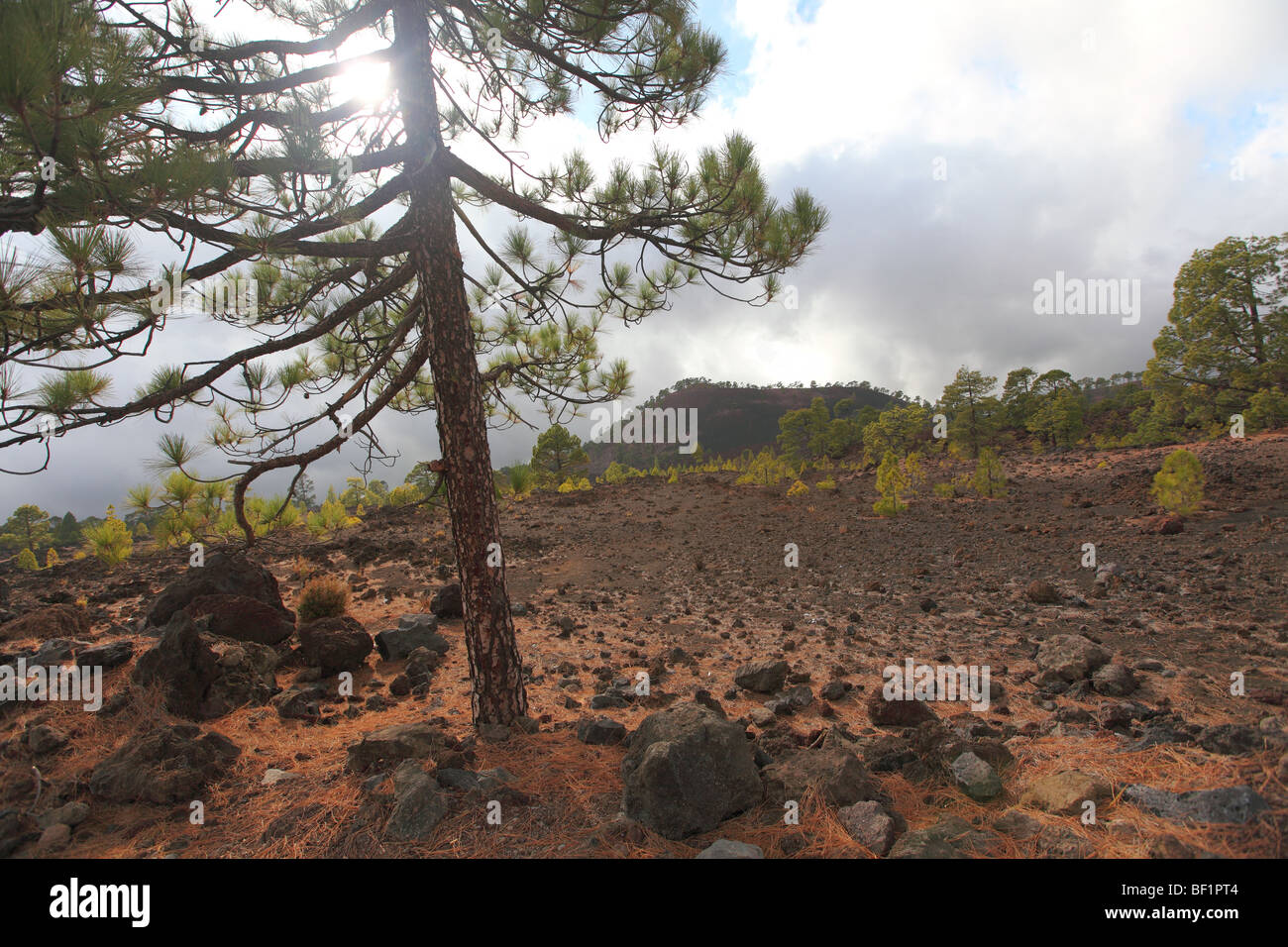 Tenerife, Isole Canarie, montagna vulcanica di paesaggio, montagne vicino El Teide Foto Stock