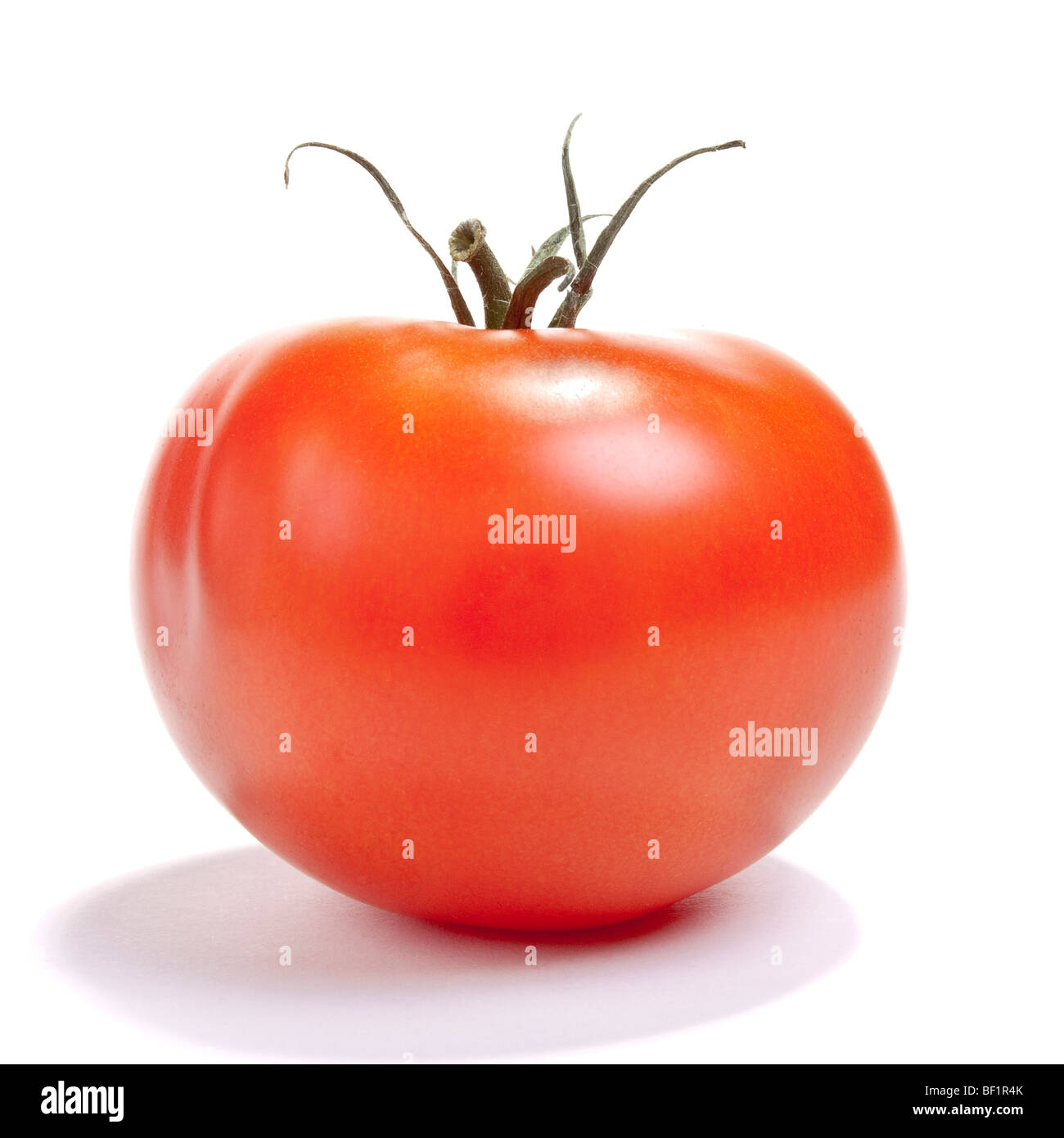 Unico ripe rosso pomodoro isolata contro uno sfondo bianco. Foto Stock