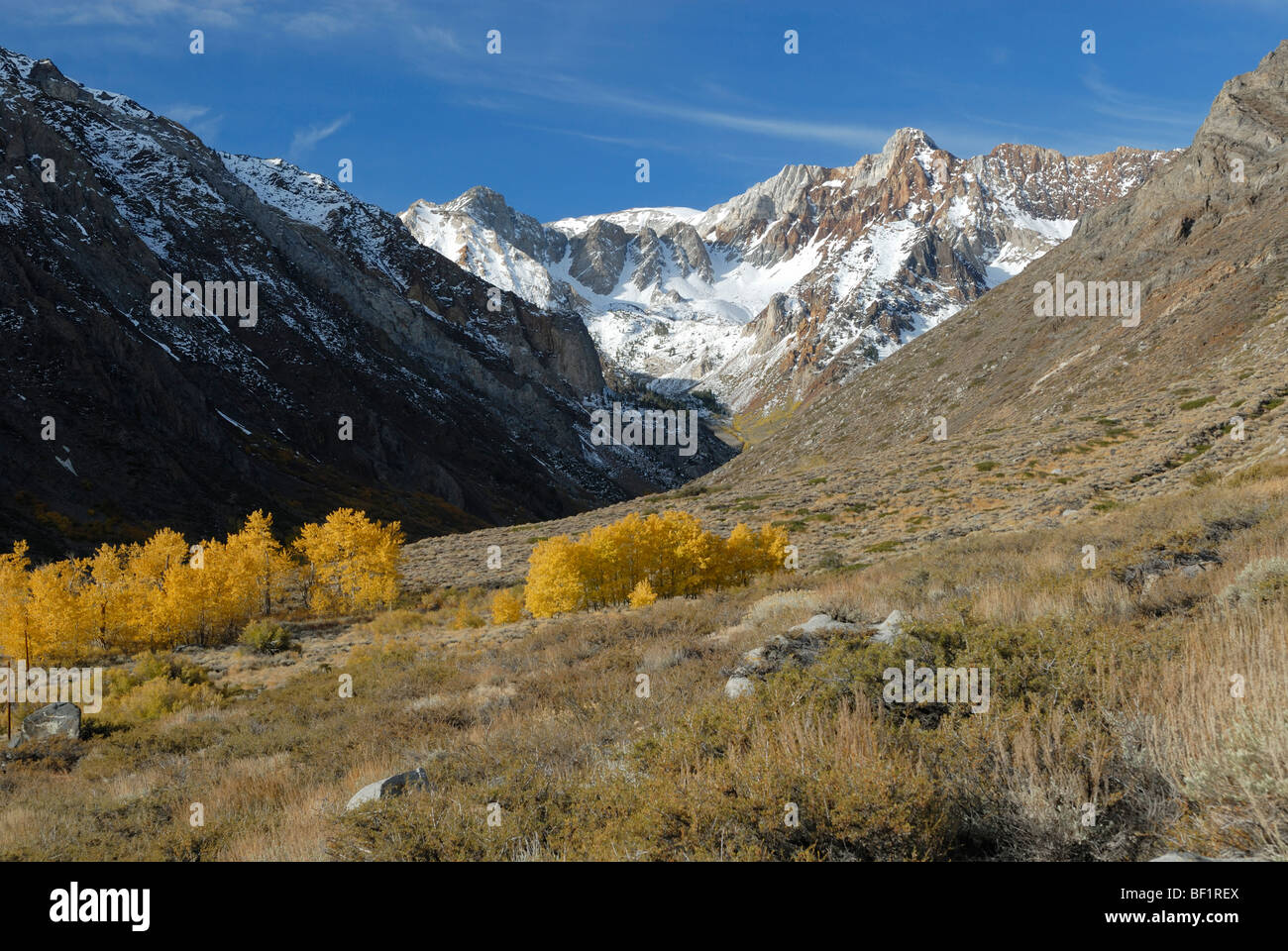 Autunno in vista McGee Creek Valley, Sierra Nevada, in California Foto Stock