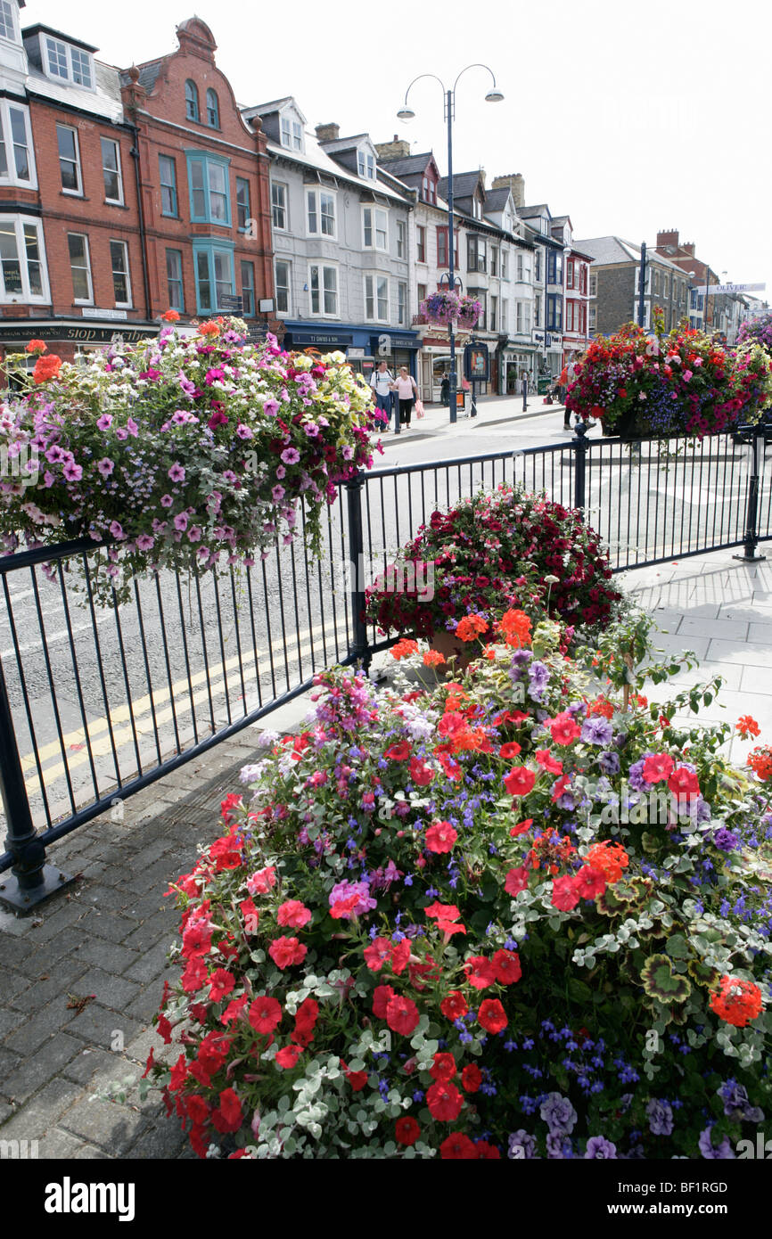 Città di Aberystwyth, Galles. Colorate vista floreale di Aberystwyth Centro Città a Owain Gianfranco Square. Foto Stock