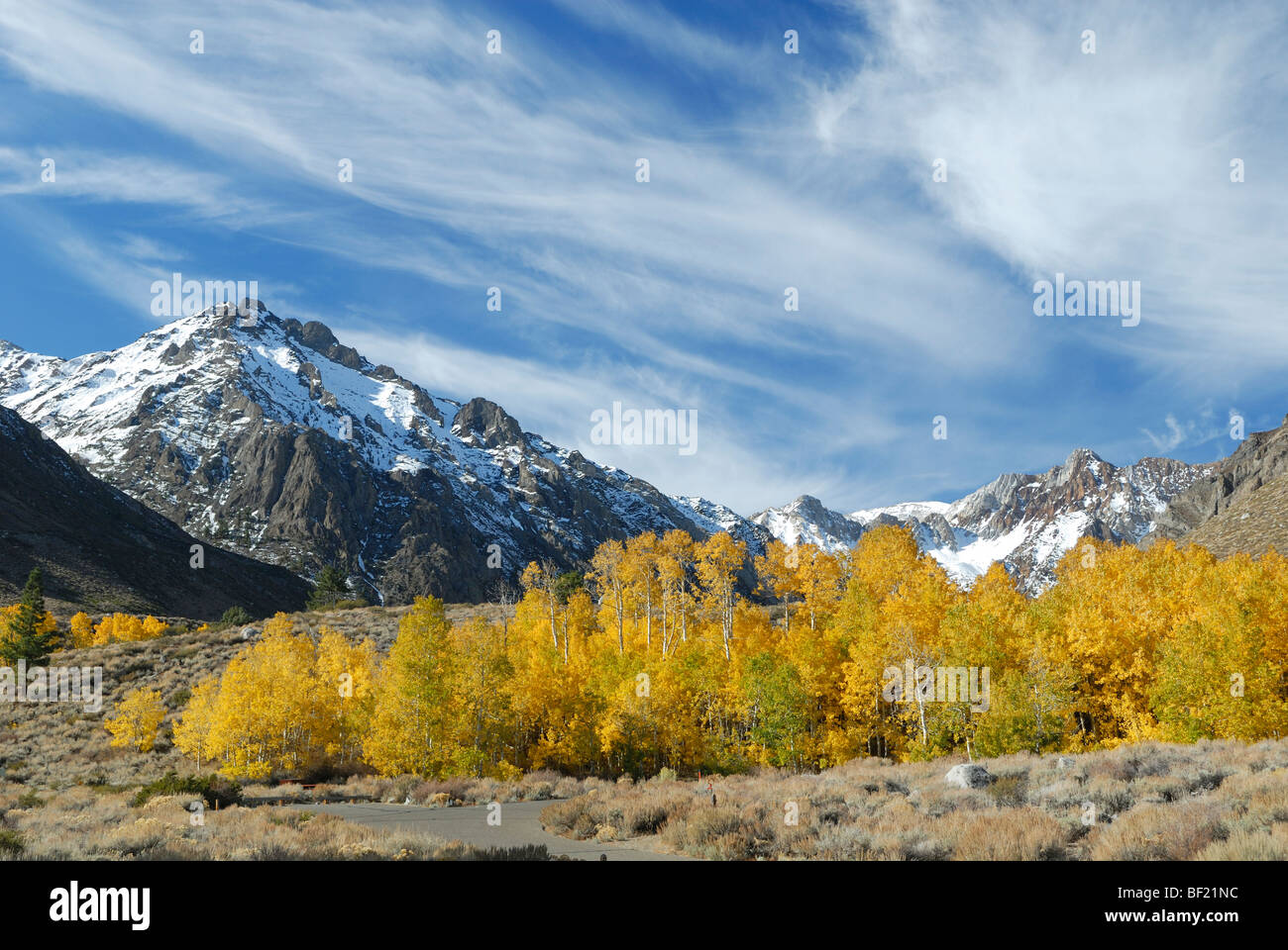 Autunno in vista McGee Creek Valley, Sierra Nevada, in California Foto Stock
