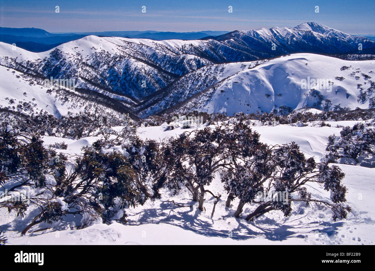 Mt Feathertop (b/g), Alpi Vittoriano, Australia Foto Stock