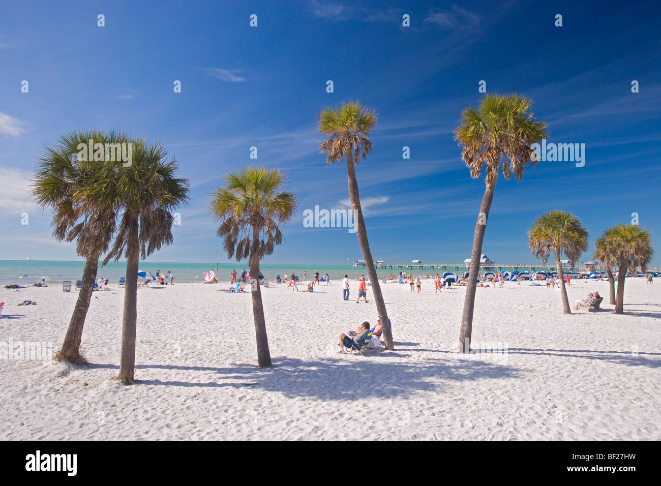 Palme presso Clearwater Beach sotto il cielo blu, Baia di Tampa, Florida, Stati Uniti d'America Foto Stock