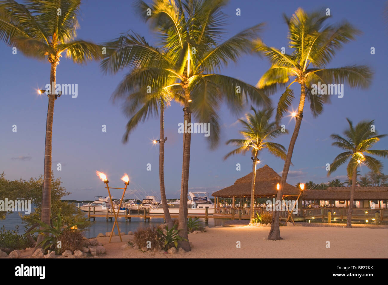 Alberi di palma e Holiday Isle Resort in serata, Islamorada, Florida Keys, Florida, Stati Uniti d'America Foto Stock